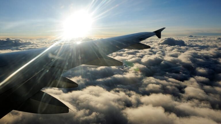 Dark Web Hackers Moonlight as Travel Agents