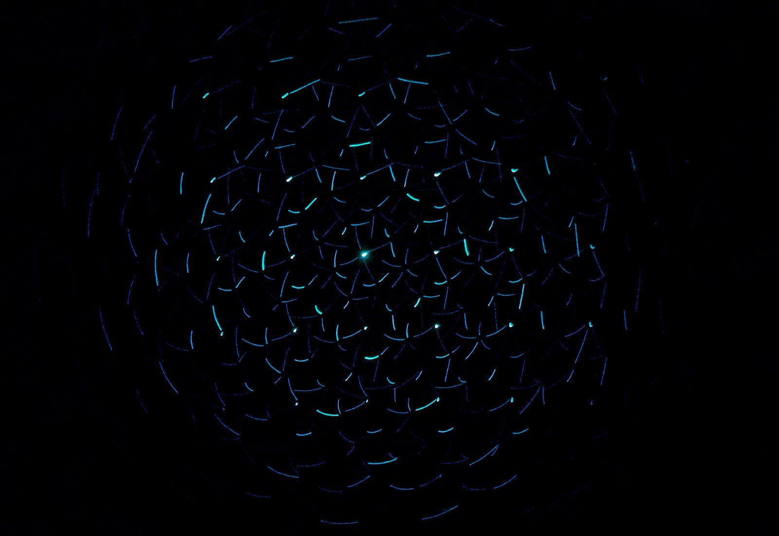 light decorations in dark area